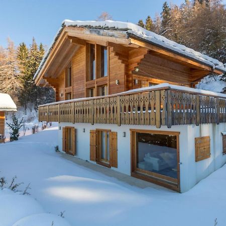 Chalet Asphodel Nendaz Extérieur photo