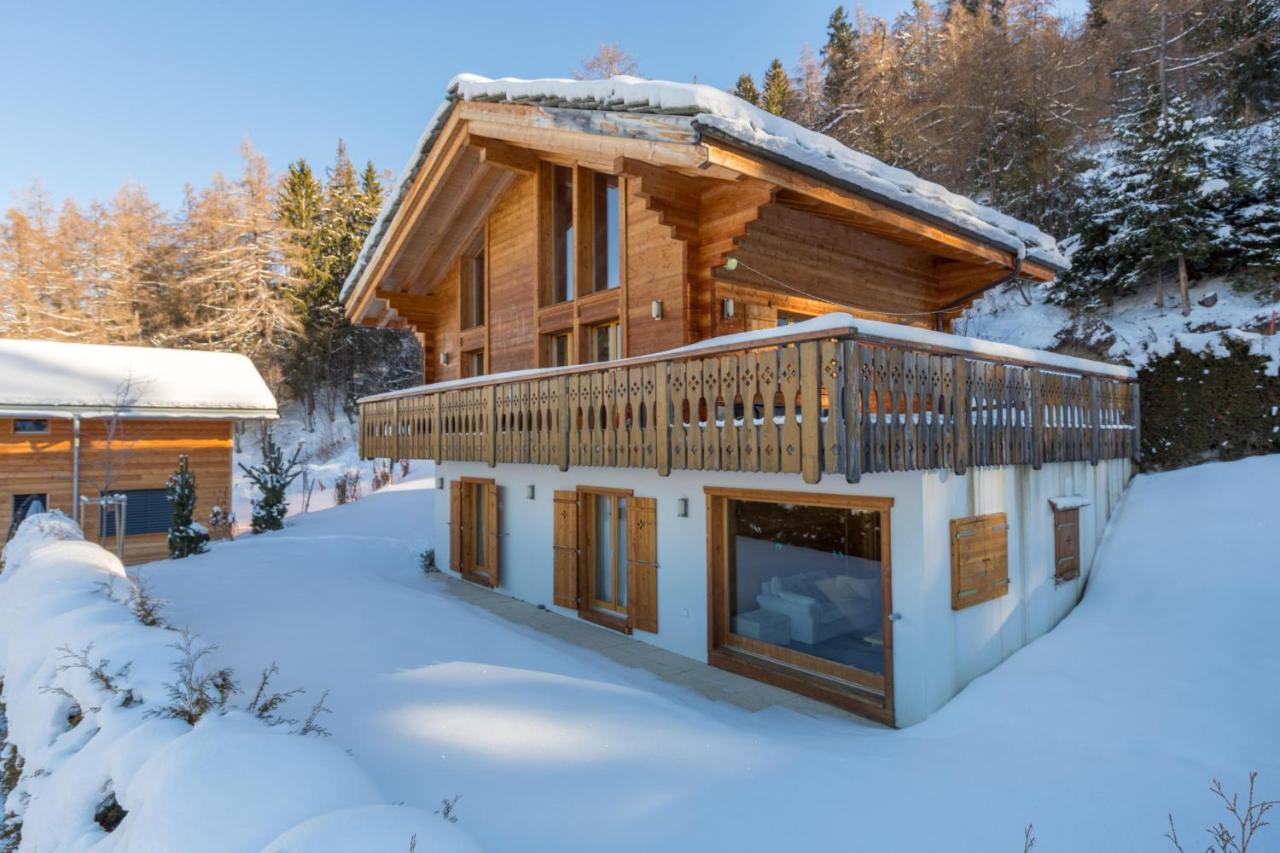 Chalet Asphodel Nendaz Extérieur photo